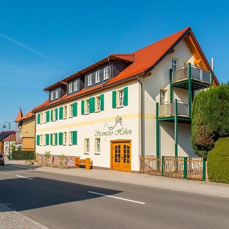 Staimicher Hoehen - Premium Appartements Kurort Steinbach-Hallenberg Eksteriør billede